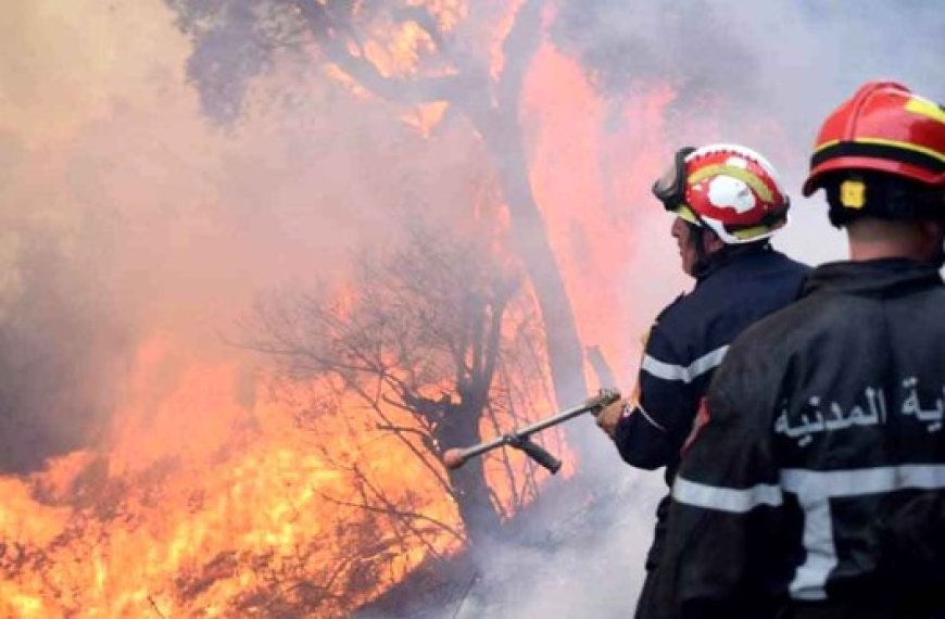 Plan de prévention et de lutte contre les incendies : 505 unités mobilisées au niveau des wilayas à risque