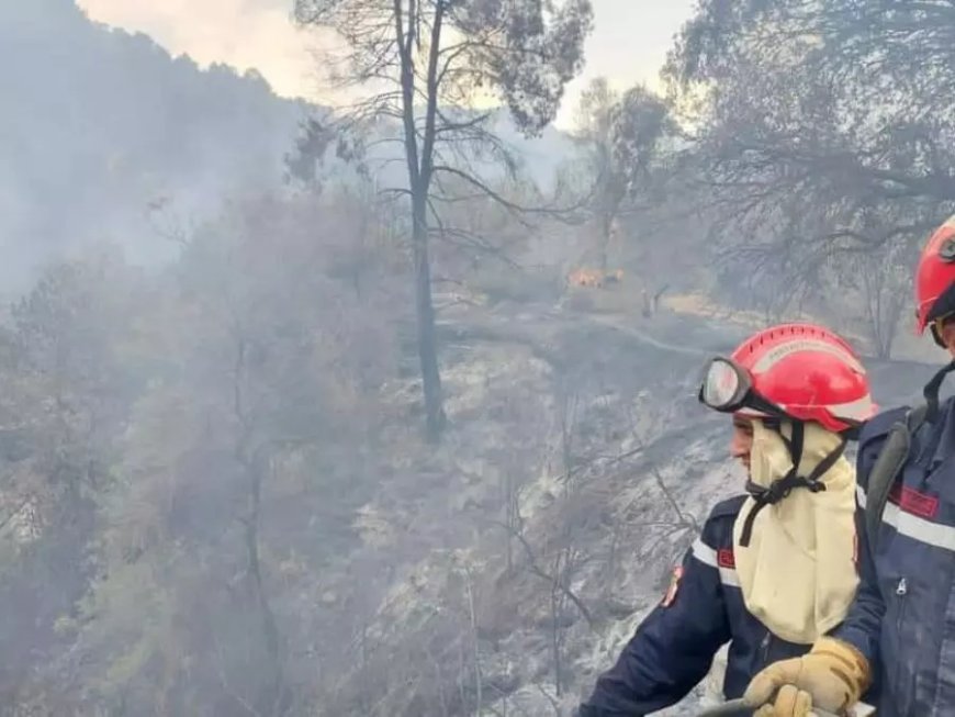 Tous les foyers d’incendies éteints à Bejaia