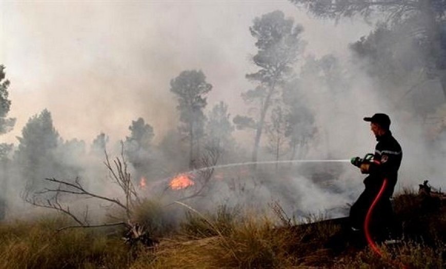 Feux de forêt à Béjaïa Une nuit très dure à Ouzellaguen