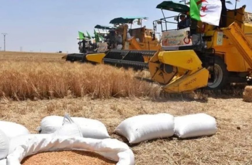 Relizane : Le projet «Pro agro-Algérie» vulgarisé