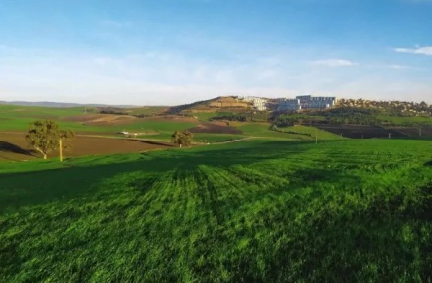 ONTA : Plus de 1,2 million d’hectares de terres  à mettre en valeur