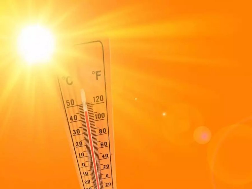 BMS : Canicule sur plusieurs wilayas du pays à partir de dimanche