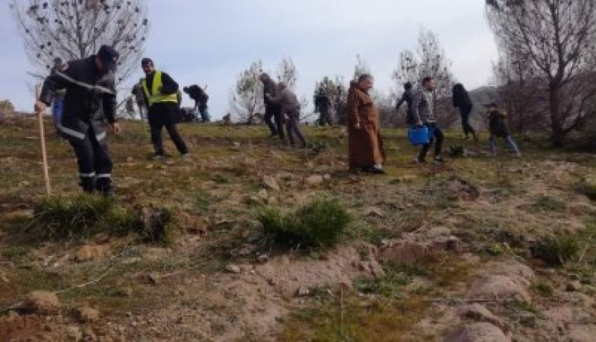 Sonatrach mis en place une stratégie de plantation de 10 millions d’arbustes pour capter le carbone