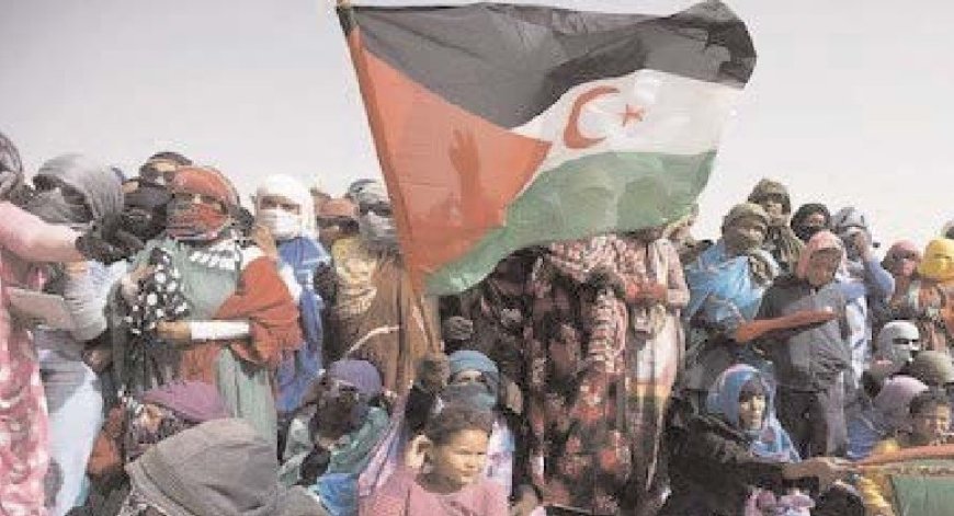 La Fédération internationale des journalistes solidaires avec le  peuple sahraoui condamne le soutien de la France au plan marocain