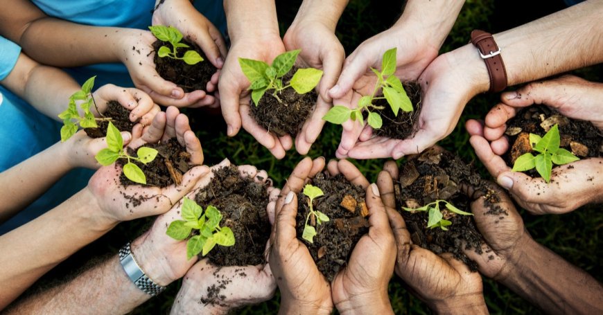 Pour capter le carbone, 420 millions d’arbustes plantés à terme: Grandiose projet écologique initié par Sonatrach