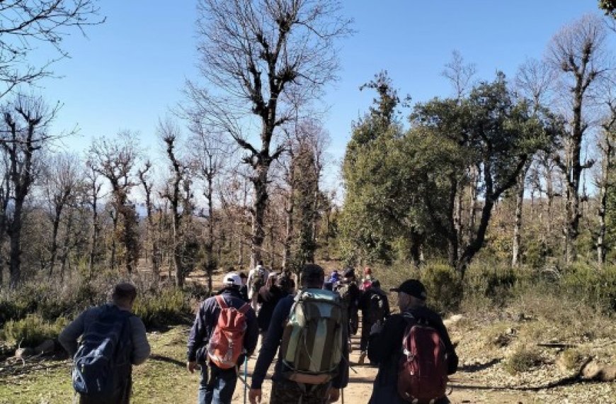 Beni Yadjis, Erraguene (Jijel) : Musée à ciel ouvert au cœur de Timezguida