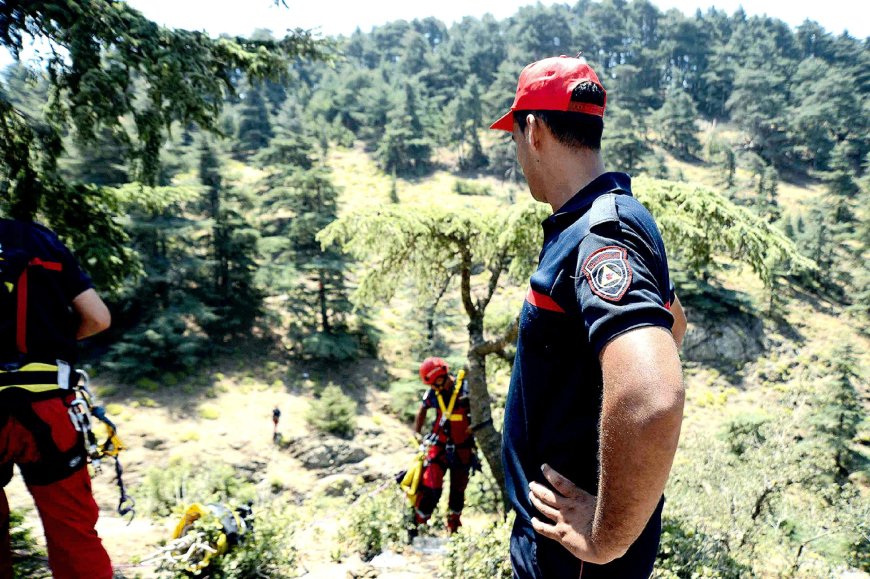 Protection civile: Extinction de la majorité des feux de forêt dans plusieurs wilayas