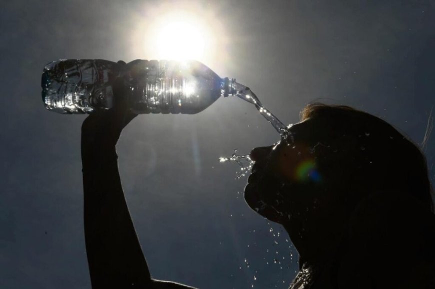 BMS – Météo Algérie : un temps extrêmement chaud sévira dans ces régions ce jeudi 1ᵉʳ août