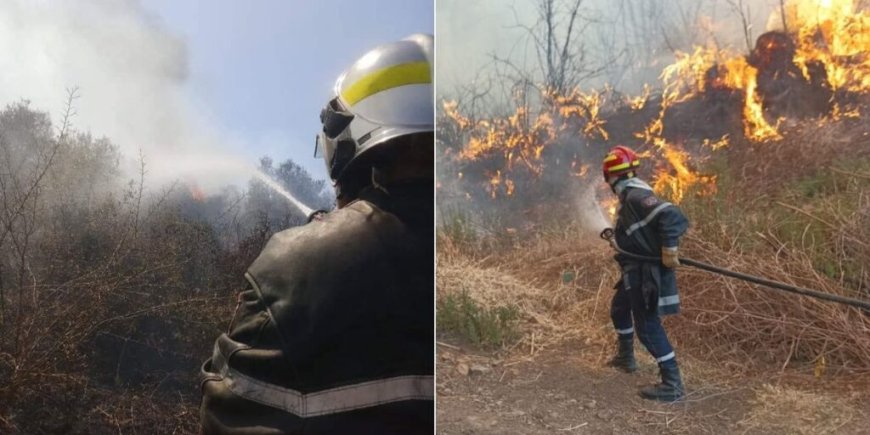 Feux de forêt en Algérie : plusieurs feux déclarés à travers le pays