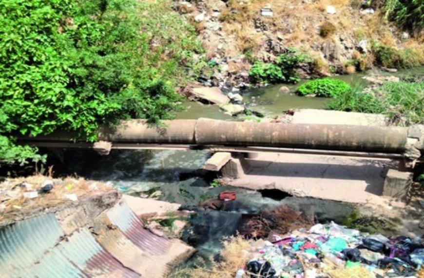 Station d’épuration des eaux usées de Guelma : Les eaux alimenteront le périmètre d’irrigation