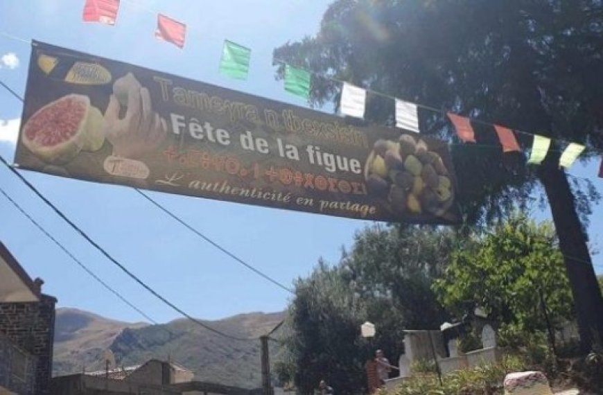 Tizi Ouzou : Ouverture des inscriptions pour participer à la 14e fête de la figue