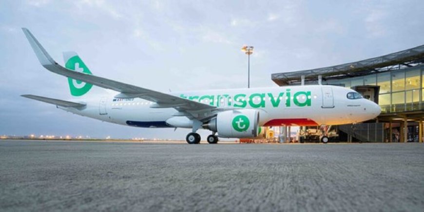 Besoin de voyager ? Les vols vers l’Algérie à prix cassés chez Transavia