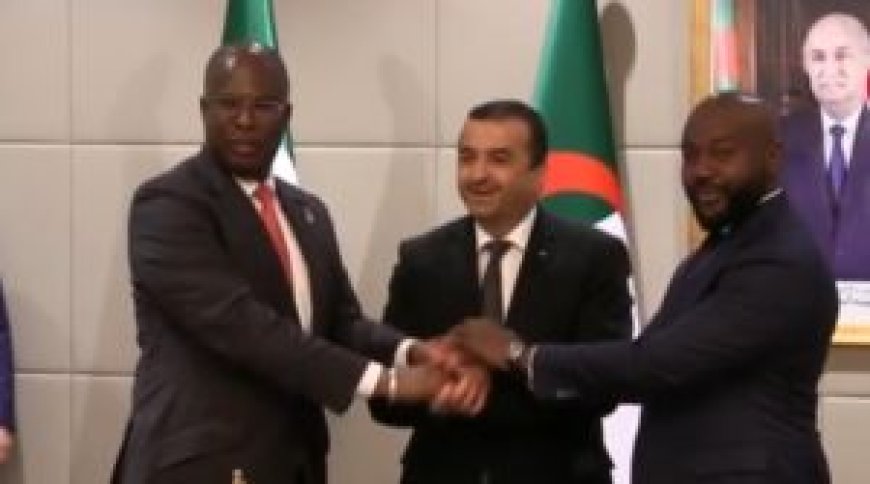 Gazoduc transsaharien reliant le Nigéria, le Niger et l’Algérie : rencontre à Niamey