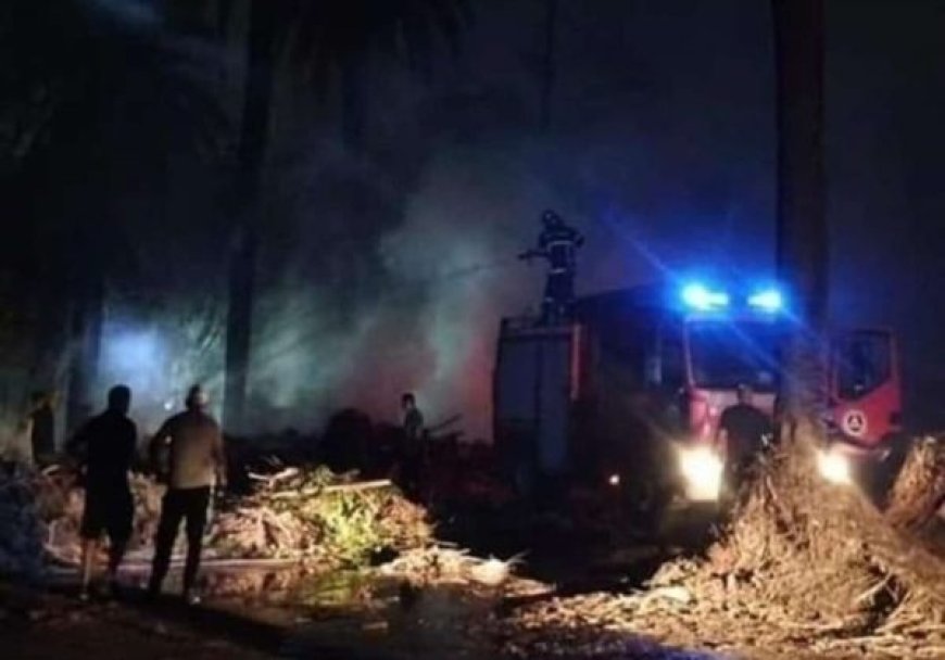 Incendie au jardin d’essai d’El Hamma: Des arbres centenaires ravagées