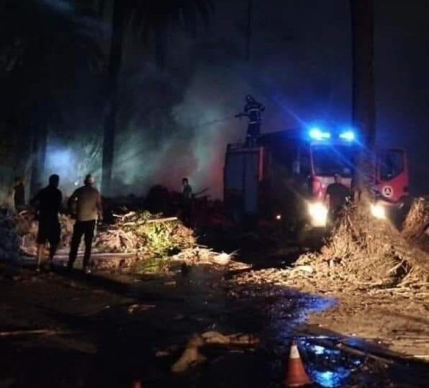 Alger : Incendie maîtrisé au jardin d’essai (vidéo)