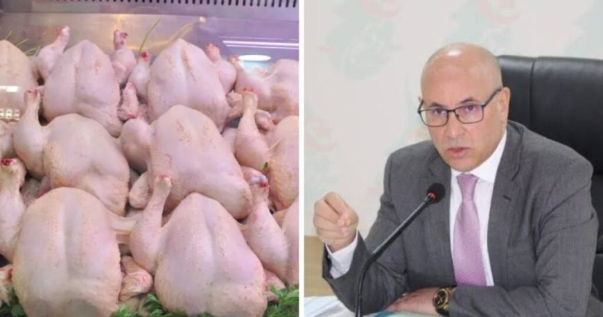 Zitouni menace la « mafia » du poulet : le marché inondé de 11 000 tonnes de volaille pour casser les prix