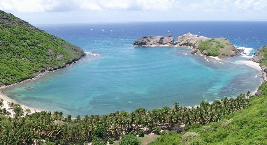 Tragédie en Guadeloupe : Le Crash d’un Avion au Large des Saintes Fait Cinq Victimes