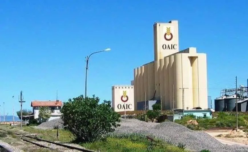 Céréales : Déclassement de 18 parcelles de terres agricoles pour la réalisation de silos de stockage