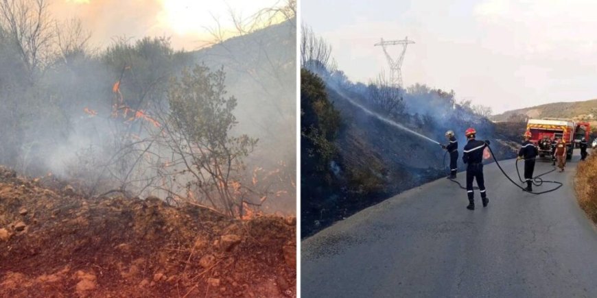 Incendies en Algérie : plusieurs feux déclarés à travers le pays