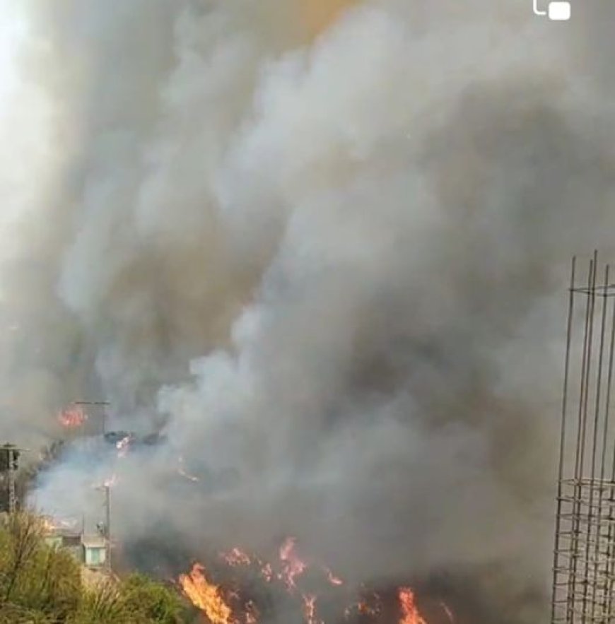 Tizi Ouzou : Plusieurs milliers d’arbres fruitiers ravagés par les flammes