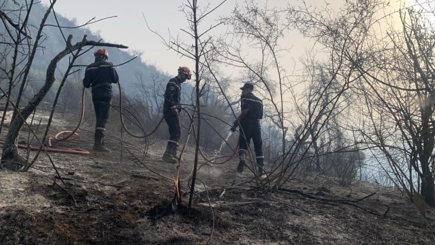 Feux de forêts : Point de situation de la protection civile 