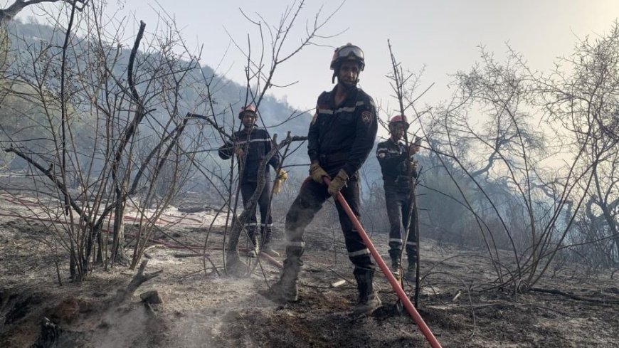 Incendies de forêts : Le DGPC à Tizi-Ouzou pour superviser les opérations