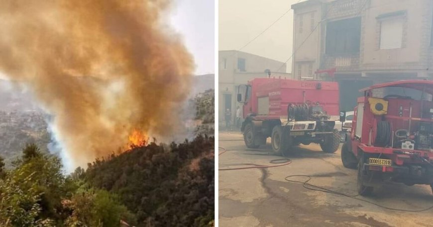 Tizi Ouzou en proie à d’immenses incendies : évacuation immédiate des maisons dans les villages