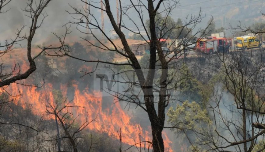 Le DG de la Protection civile instruit d’éviter la propagation des incendies aux agglomérations