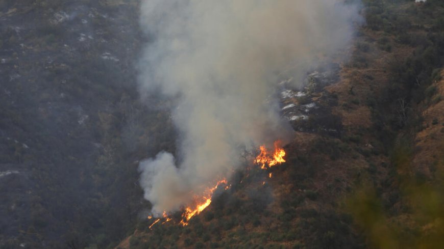 Algérie : incendies sous contrôle en Kabylie, des dizaines d'habitants évacués