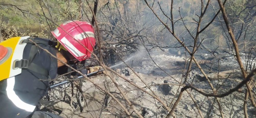 Feux de forêts : la majorité des incendies maîtrisés, selon la protection civile