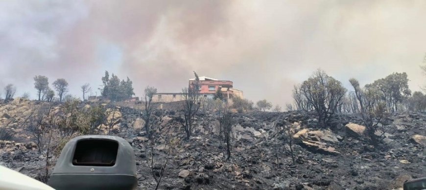 Feu de forêt à Akfadou /Béjaïa Plusieurs familles évacuées de leurs foyers