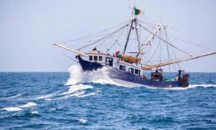 Pêche : Possibilité de transformer les navires de plaisance 