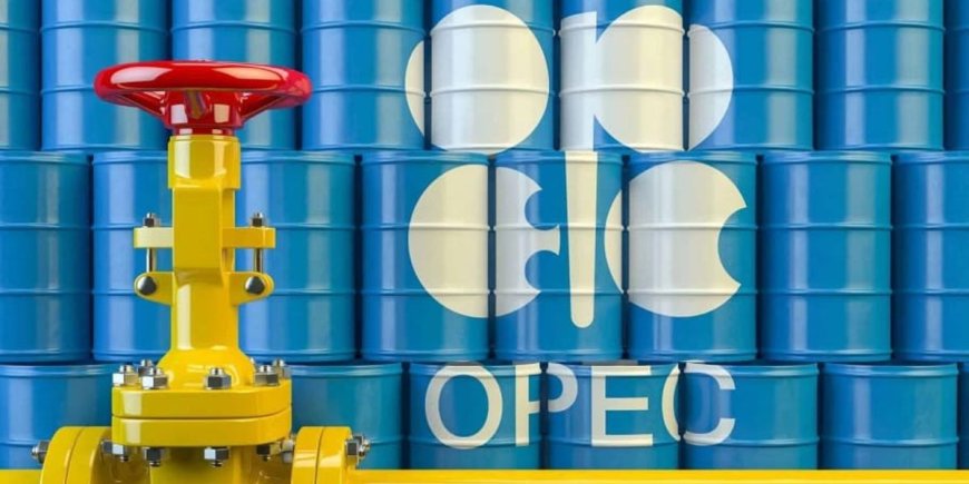 Demande mondiale de pétrole : L’OPEP revoit à la baisse ses prévisions