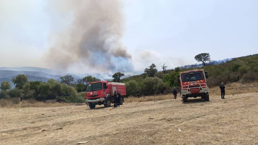 La protection civile annonce l’extinction des 28 feux de forêts déclenchés ces derniers jours