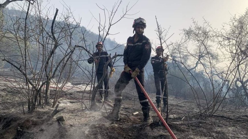 Protection civile : Extinction de tous les incendies de forêts