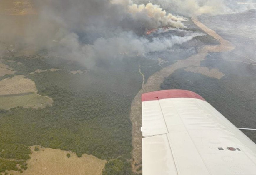 Incendies de forêt : La situation sous contrôle