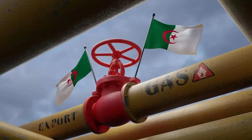 Exportations d’hydrocarbures : Sonatrach a investi plusieurs nouveaux marchés en 2024