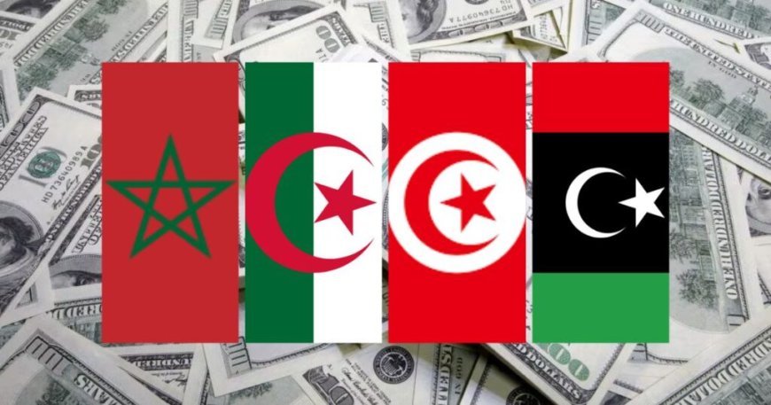 Algérie, Maroc, Tunisie… Quel pays du Maghreb possède le plus de réserves de devises en 2024 ?