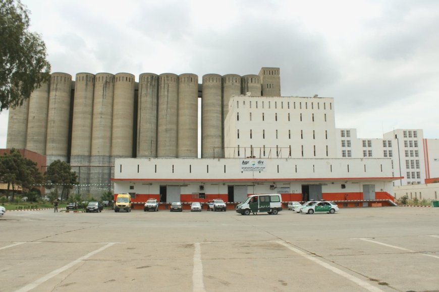 Boumerdès : remise en service d’une unité de stockage de céréales après 21 ans d’arrêt