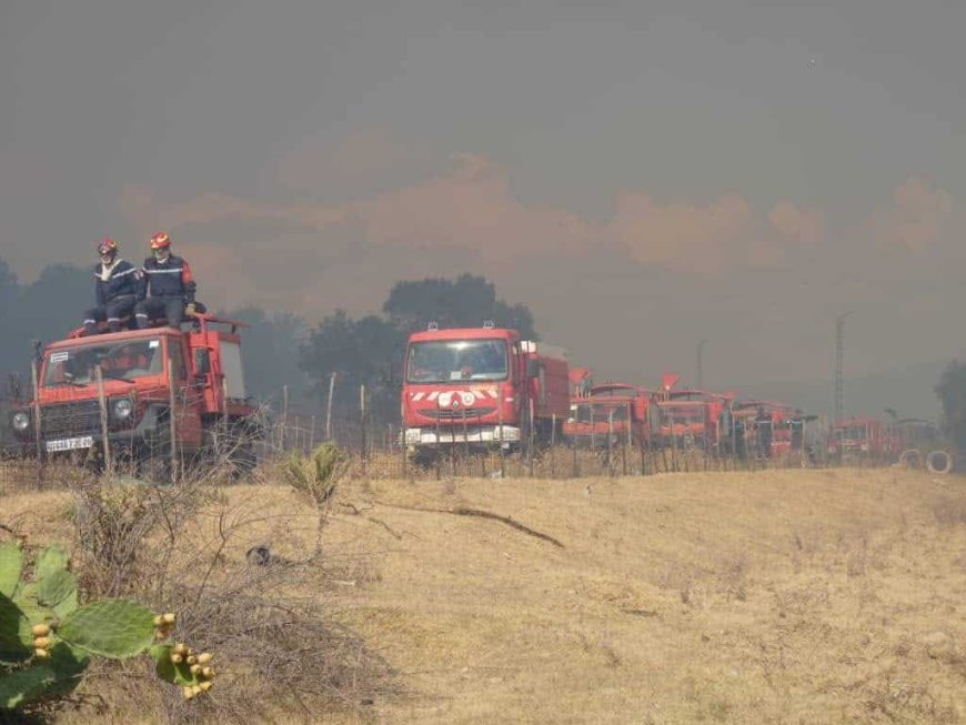 Feux de forêts: la protection civile fait le point de la situation générale