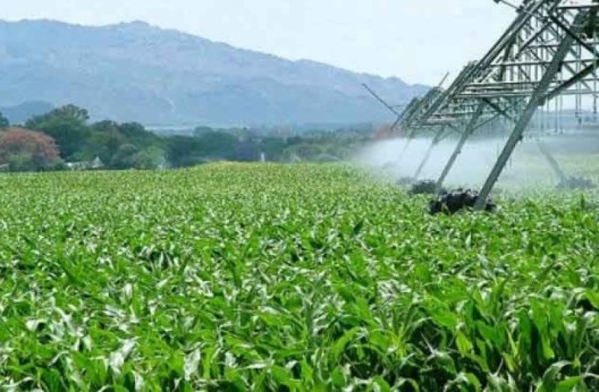 Mostaganem : Lancement d’un projet d’irrigation agricole