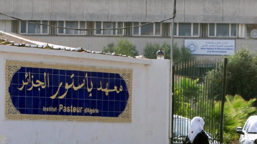 Transmission, prévention et symptômes du Mpox : les précisions de l’Institut de Pasteur d’Algérie