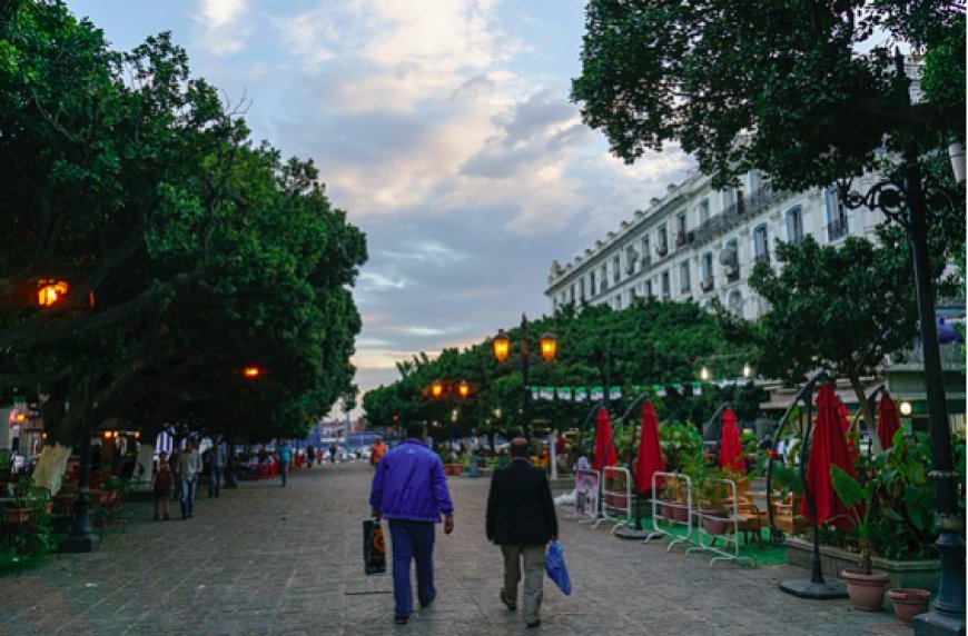 Prix du café sur le Cours d’Annaba : Répression des fraudes, es-tu là ?