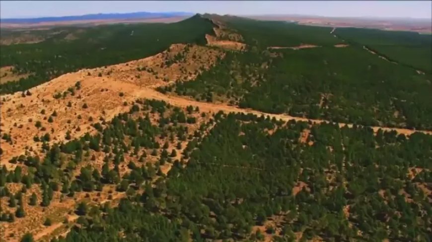 Réhabilitation du barrage vert : Un modèle de développement durable