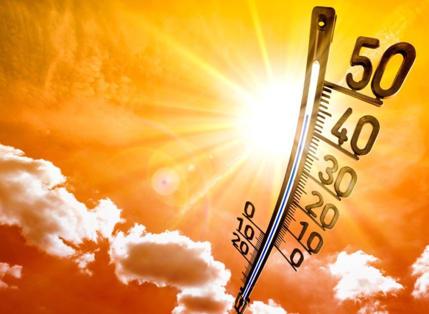 Bulletin Météo Algérie du 21 août : vague de chaleur et canicule annoncées dans ces régions !