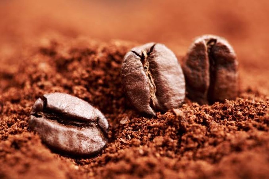 Le prix plafond du café “arabica” fixé à 1200 Da et “robusta” à 1000 Da