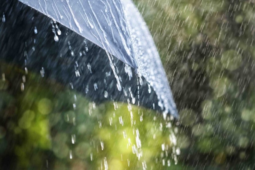 Alerte Météo en Algérie : pluie attendue dans 12 wilayas