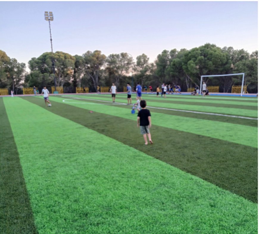 Activités sportives et juvéniles à Oum El Bouaghi : Le secteur enregistre des avancées remarquables