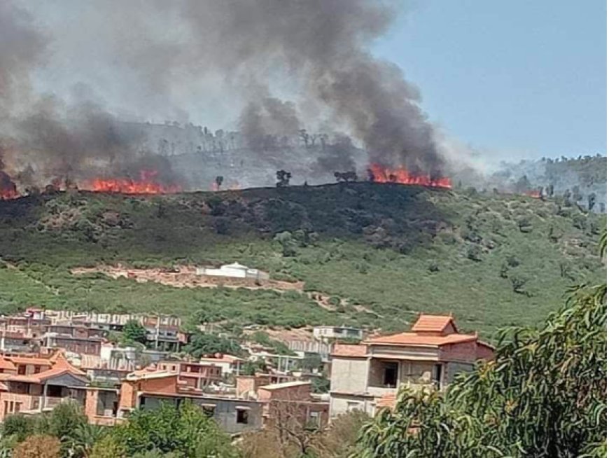 El Tarf : Violent incendie à Zitouna