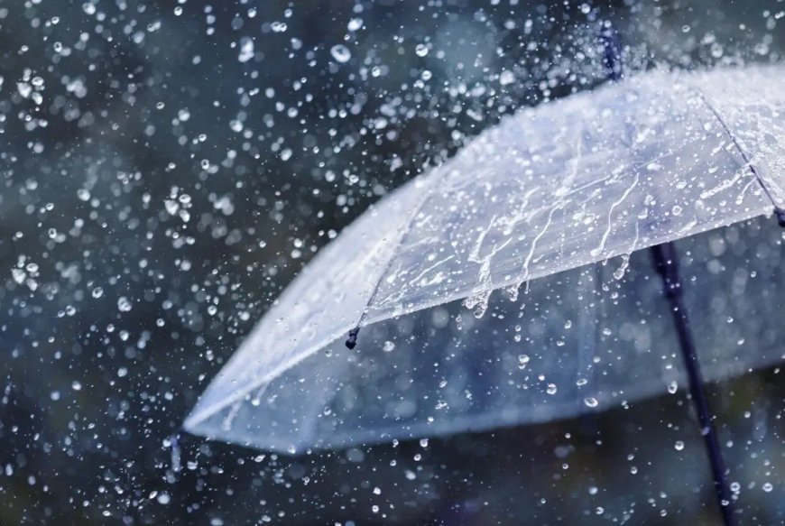 Des pluies orageuses sur plusieurs wilayas